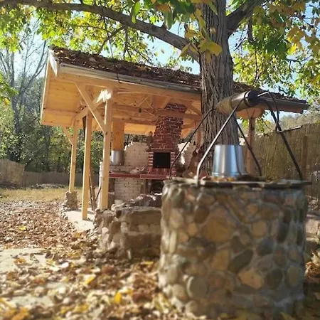 ижата - топлина и уют * Borovitsa